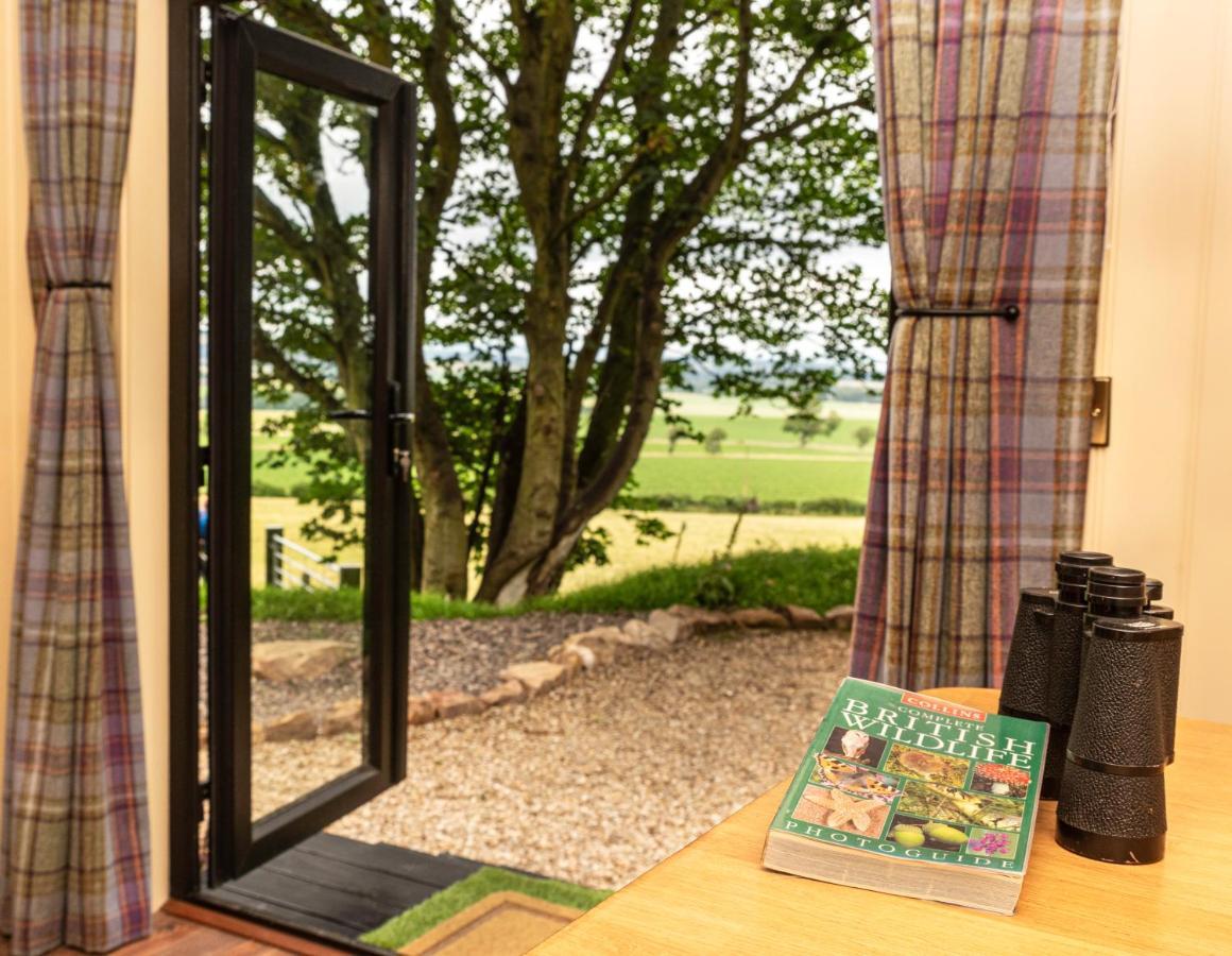 The Hide At Woodside Apartment St Andrews Bagian luar foto